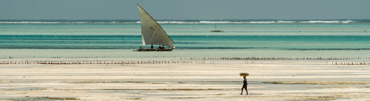 Zanzibar Health Care Project