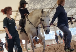 Healing through Horses 5