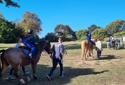 Healing through Horses 7